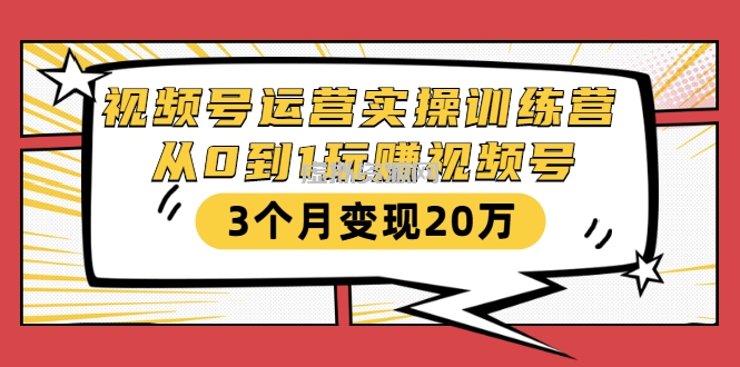 视频号运营实操训练营：从0到1玩赚视频号，3个月变现20万