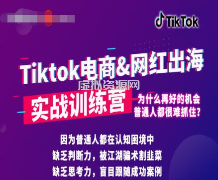 零基础学习抖音国际版TikTok海外短视频新手实战训练营【视频课】