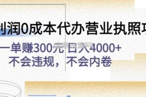 高利润0成本代办营业执照项目：一单赚300元日入4000+不会违规，不会内卷