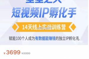 瑶瑶·自然流短视频IP孵化第二期，14天线上实战训练营，赋能100个人成为有数据能赚钱的独立IP孵化手