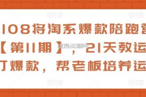 108将淘系爆款陪跑营【第11期】，21天教运营打爆款，帮老板培养运营