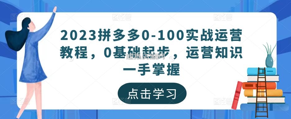 2023拼多多0-100实战运营教程，0基础起步，运营知识一手掌握