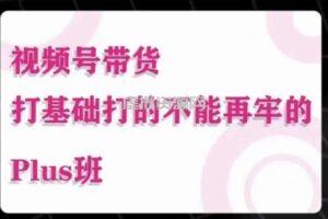 大播汇·视频号带货Puls班，视频号底层逻辑，起号自然流鱼塘等玩法