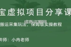 淘宝虚拟整店搬运采集玩法分享课：整店搬运采集玩法，保姆级实操教程