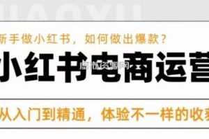 红商学院·小红书电商运营课，新手做小红书如何快速做出爆款，从入门到精通，体验不一样的收货