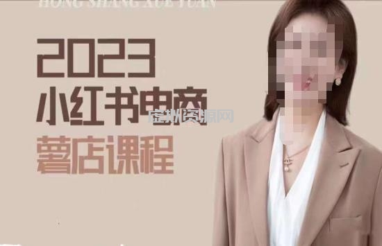 2023小红书电商课，新手小白从0~1玩转小红书薯店电商