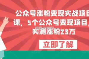 公众号涨粉变现实战项目课，5个公众号变现项目，实测涨粉23万