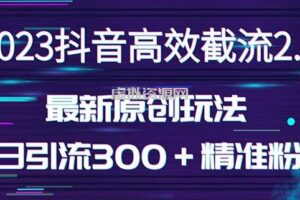 日引300＋创业粉，独家抖音高效截流2.0玩法（价值1280）