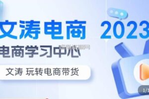 文涛电商·7天零基础自然流起号，快速掌握店铺运营的核心玩法，突破自然展现量，玩转直播带货