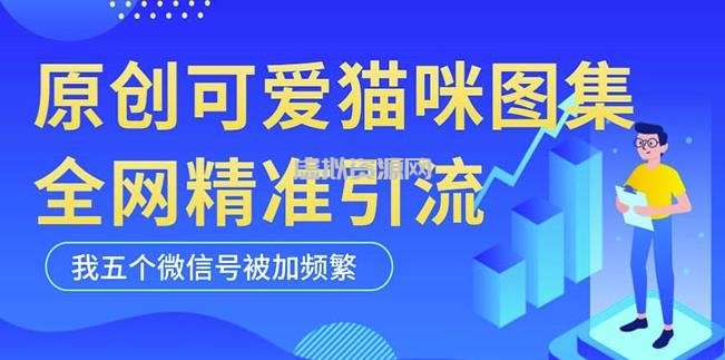 黑科技纯原创可爱猫咪图片，全网精准引流，实操5个VX号被加频繁