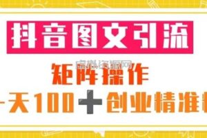 抖音图文引流矩阵操作一天100+创业精准粉（5节视频课+素材模板）