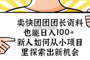 卖快团团团长资料也能日入100+新人如何从小项目里探索出新机会