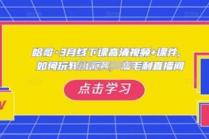 哈哥·3月线下实操课高清视频+课件，如何玩转小而美，高毛利直播间