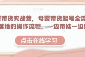 母婴带货实战营，母婴带货起号全流程，可落地的操作流程，一边带娃一边赚钱（附素材）