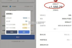 最新csgo游戏搬砖游戏，无需挂机小白无脑也能日入300+