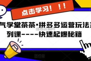 牛气学堂茶茶o拼多多运营玩法系列课—-快速起爆秘籍【更新】