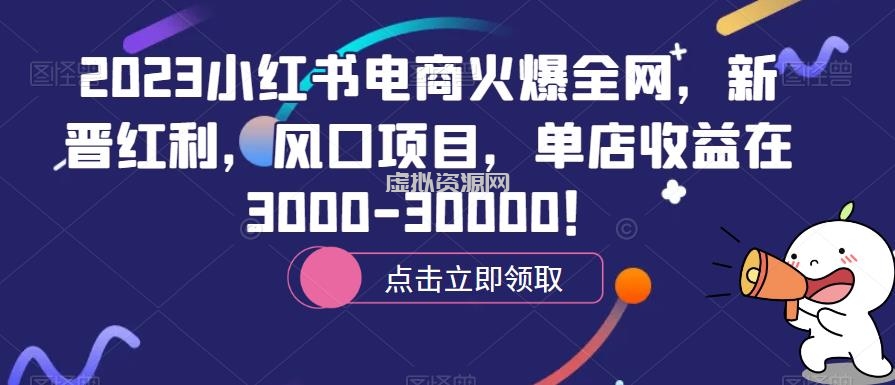 2023小红书电商火爆全网，新晋红利，风口项目，单店收益在3000-30000！