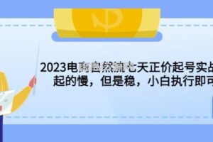 2023电商自然流七天正价起号实战课：起的慢，但是稳，小白执行即可！