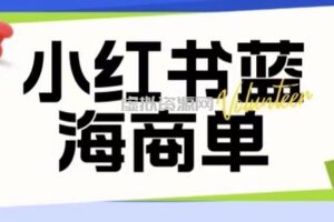 价值2980的小红书商单项目暴力起号玩法，一单收益200-300（可批量放大）