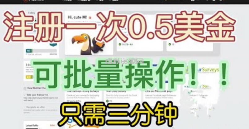 国外项目注册一次0.5美金，只需三分钟无脑操作，可批量同时放大操作，小白工作室福利【揭秘】