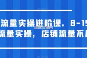 淘宝流量实操进阶课，8-15天放大流量实操，店铺流量不用愁