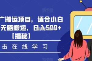 影视推广搬运项目，适合小白操作，无脑搬运，日入500+【揭秘】