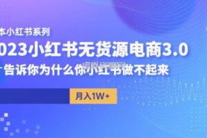 阿本小红书无货源电商3.0，告诉你为什么你小红书做不起来