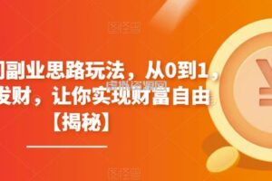 4个冷门副业思路玩法，从0到1，闷声发财，让你实现财富自由【揭秘】