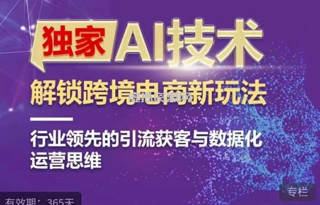 独家AI技术&ChatGPT解锁跨境电商新玩法，行业领先的引流获客与数据化运营思维