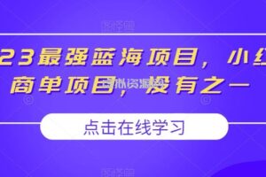 2023最强蓝海项目，小红书商单项目，没有之一【揭秘】