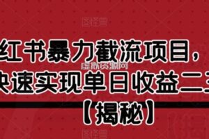 小红书暴力截流项目，新手快速实现单日收益二三百【仅揭秘】