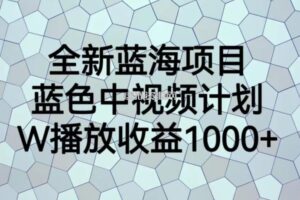 全新蓝海项目，蓝色中视频计划，1W播放量1000+【揭秘】