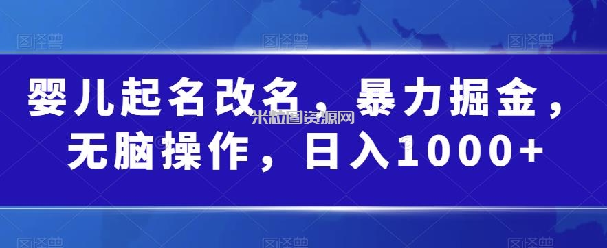 婴儿起名改名，暴力掘金，无脑操作，日入1000+【揭秘】