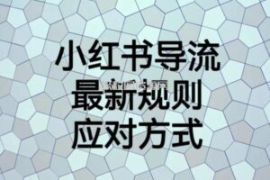 小红书导流最新规则应对方式【揭秘】