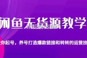 闲鱼无货源教学，教你起号，养号打造爆款链接以及转转的运营技巧