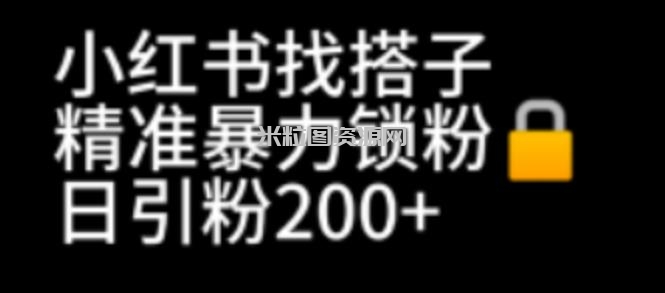 小红书找搭子暴力精准锁粉+引流日引200+精准粉