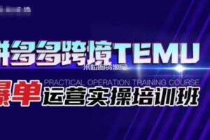 拼多多跨境TEMU爆单运营实操培训班，海外拼多多的选品、运营、爆单