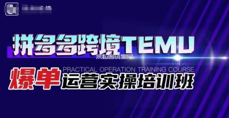 拼多多跨境TEMU爆单运营实操培训班，海外拼多多的选品、运营、爆单