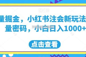 流量掘金，小红书注会新玩法，流量密码，小白日入1000+【揭秘】